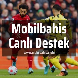 Mobilbahis Canlı Destek