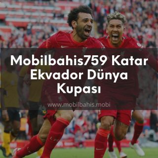 Mobilbahis759 Katar Ekvador