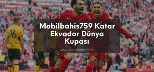 Mobilbahis759 Katar Ekvador