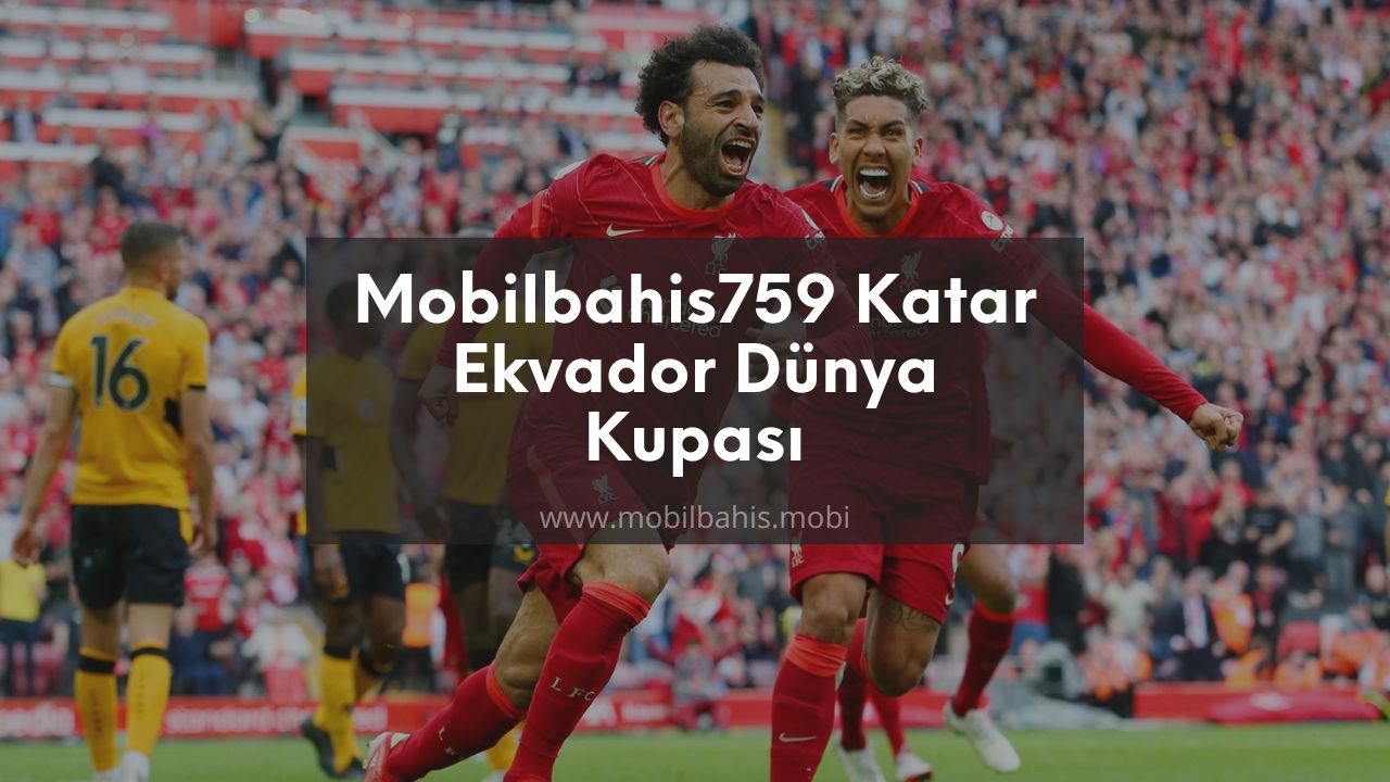 Mobilbahis759 Katar Ekvador